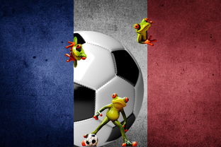 od体育投注-法国足球盛事持续发展,球队竞争激烈,法国足球队2021