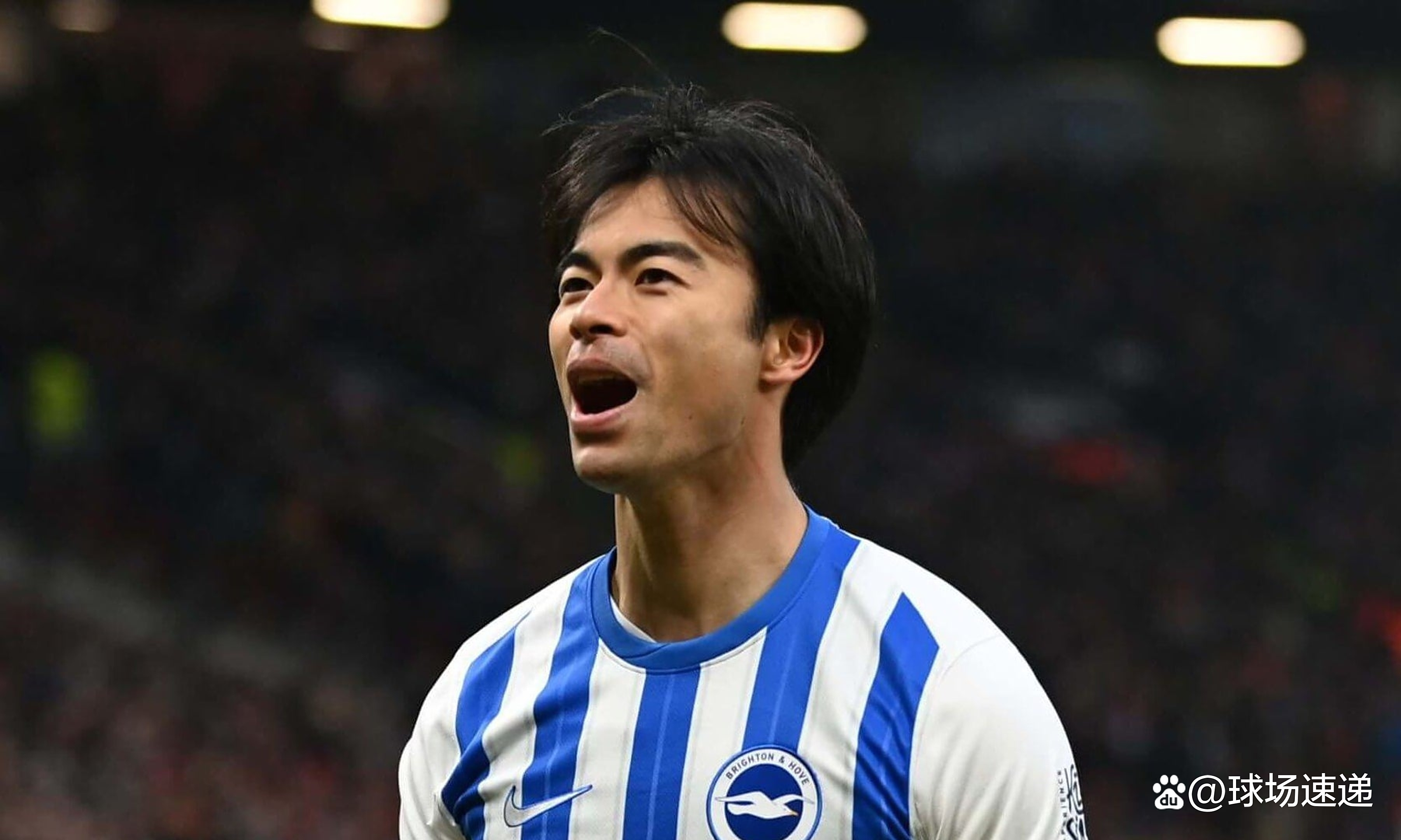 od体育入口-布莱顿主场痛失三分,遗憾告负的简单介绍